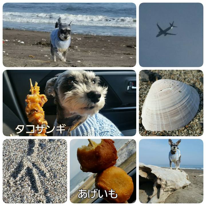 2bf73010 6b3d 49e0 bf7f b45ef3712bc1