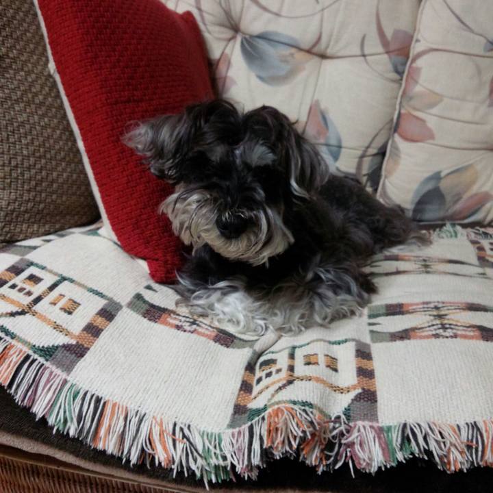 2bf78724 74f7 402b 9397 c6793c6a554a