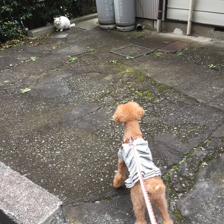 2bf798c7 0875 47a2 9679 b8647ea47e26