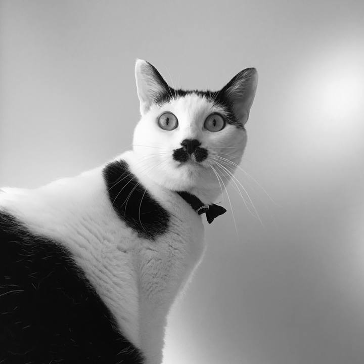 2bf7eec4 ad3d 434f 8cde 3ee381801473