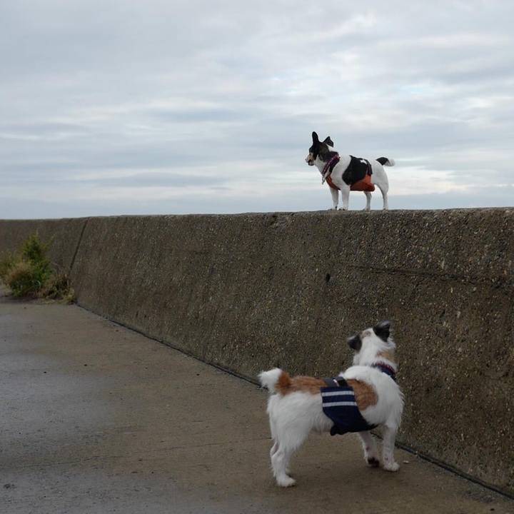 2bf84d00 eb81 4981 ab00 5a995c714293