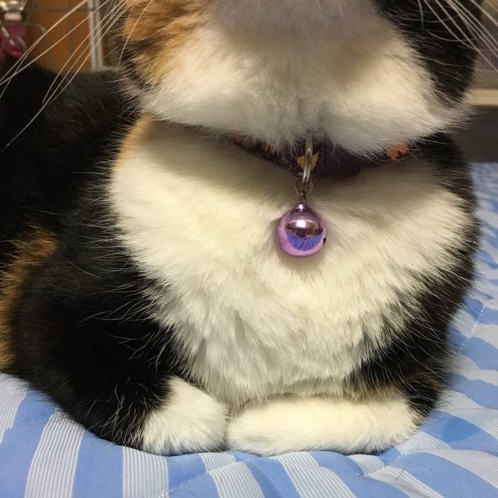 2bf857d8 f7f7 4a92 842d 060c0507347e