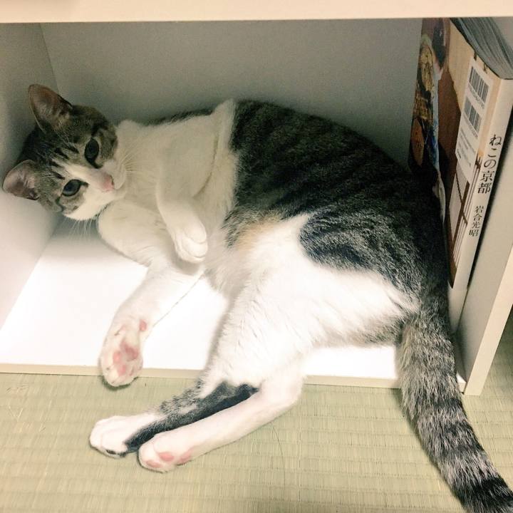 2bf86c34 386f 439d ac82 8aa4b7da96ea