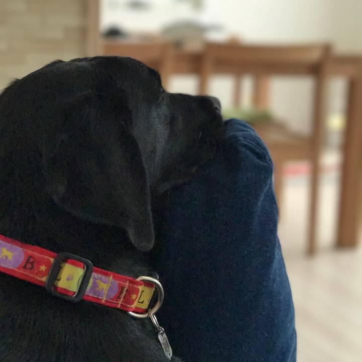 2bf88d36 2757 4b9f 91ba 12126487c086