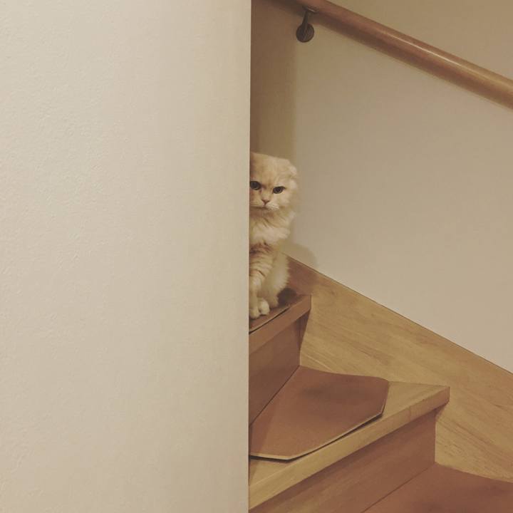 2bf8b149 9e69 46b7 94b3 8e36c55b7857