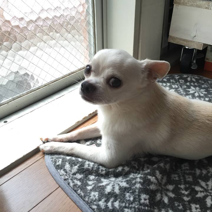 2bf91ba5 8b8e 4525 9120 07284314673f