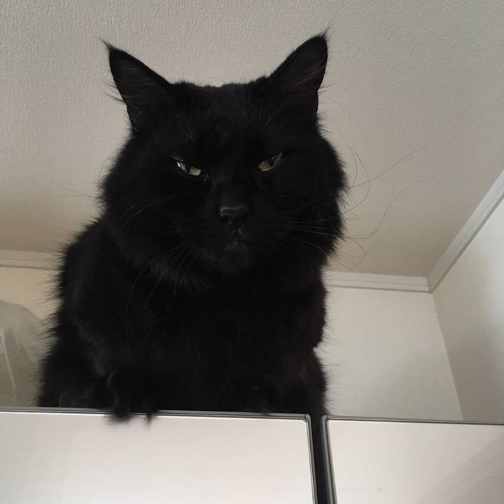 2bf9a992 28f6 4324 b670 a1fbabf69ef9