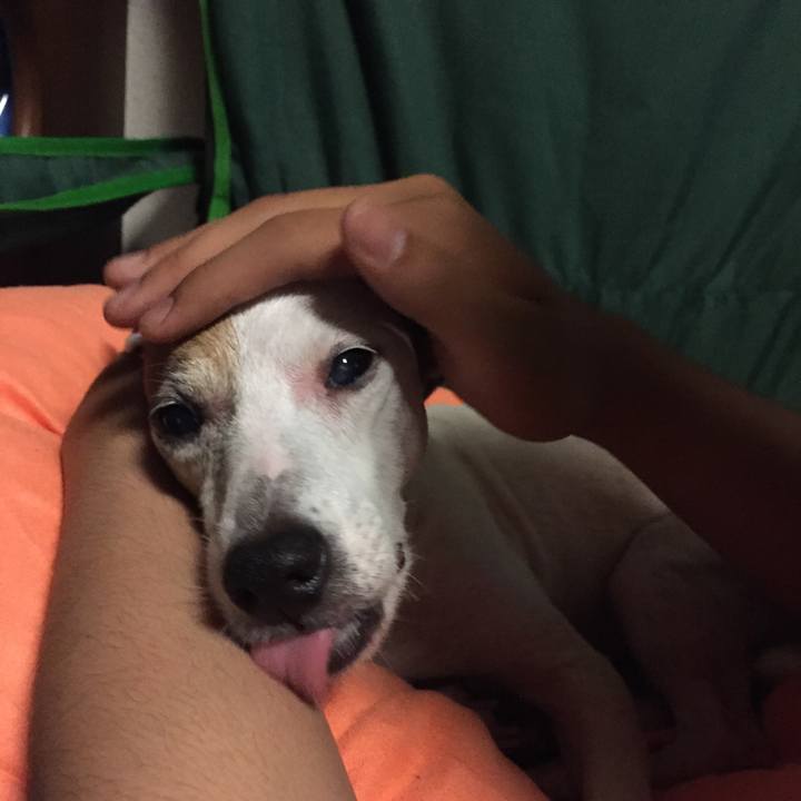 2bf9f25d 4ba3 4cb8 8c46 2fe5a593e747