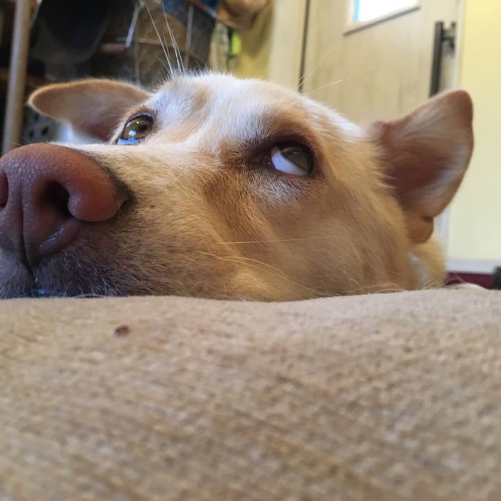 2bf9f7e0 a163 476a a6b7 aa08291b88ee