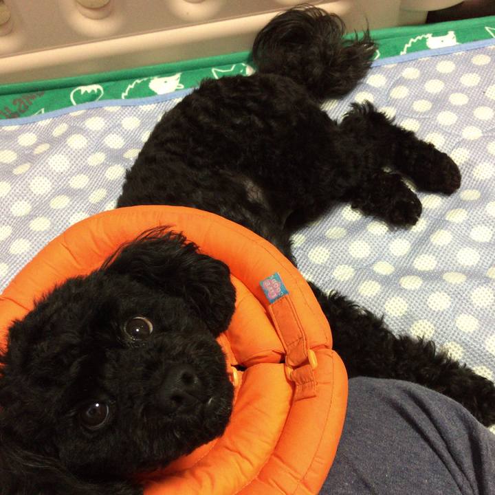 2bfbbf2f acb0 483d 8b4a 0a32228494ab