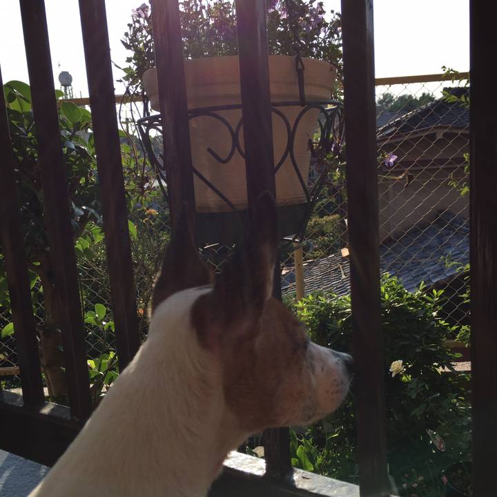 2bfbfbb2 e1e0 471f a16b 74026a616bab