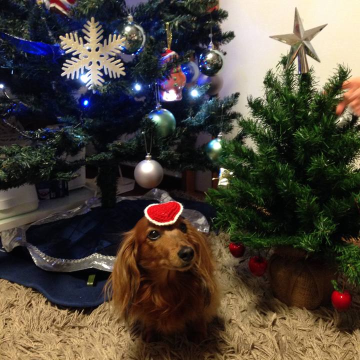 2bfc0782 8dc9 4454 b044 b60a17f9068c