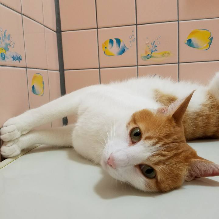 2bfd06d1 67f5 4c27 a83a e3572da8fe96