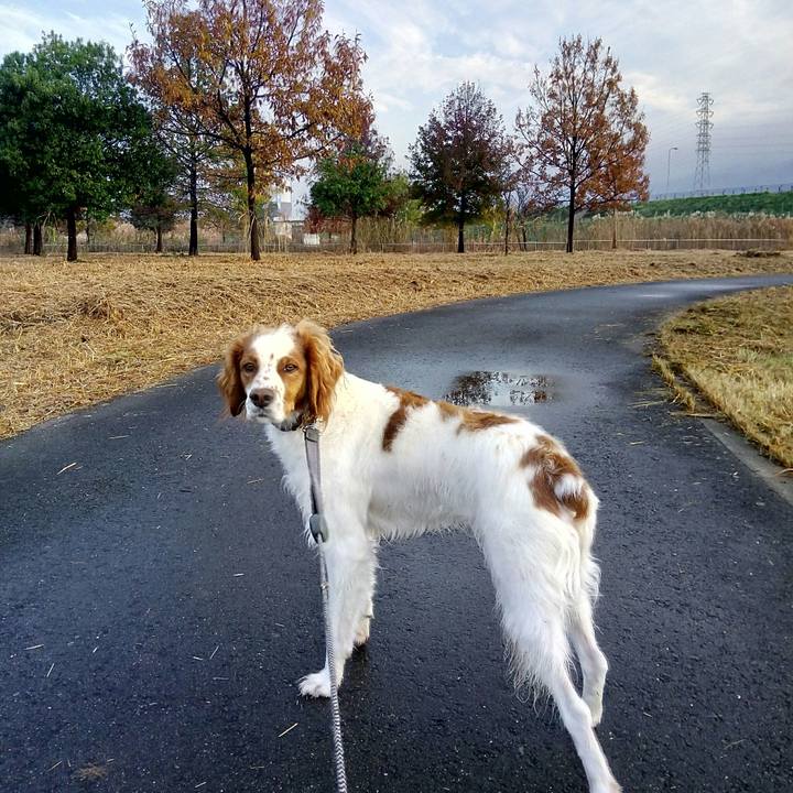 2bfd146c 6b5d 4789 8e1e 007864370250