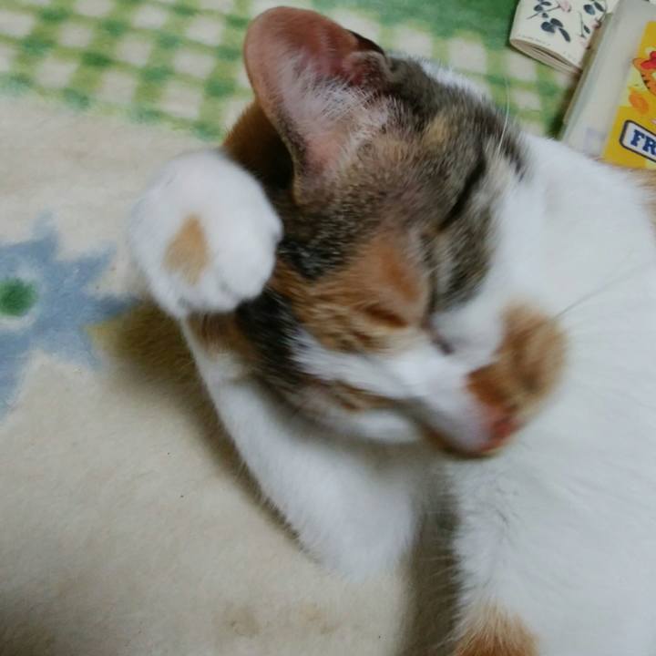 2bfd4423 515d 4f48 b3ac 5572f96b6844