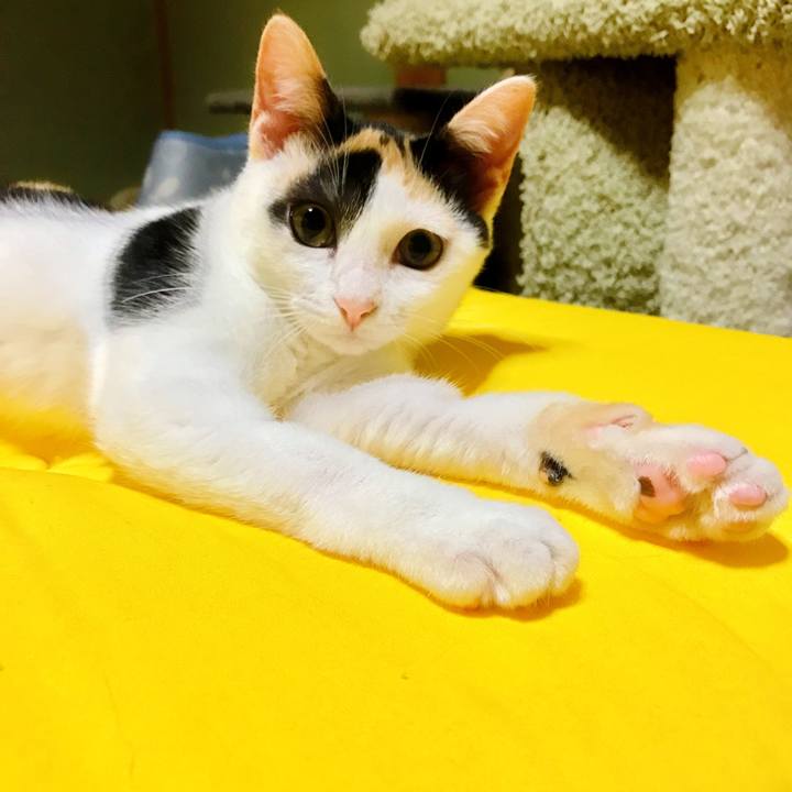 2bfda626 154b 499d a84f 7b296682e78e