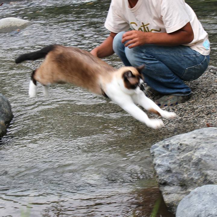 2bfea5e1 bf1e 4b6d a0e6 7895c5876612