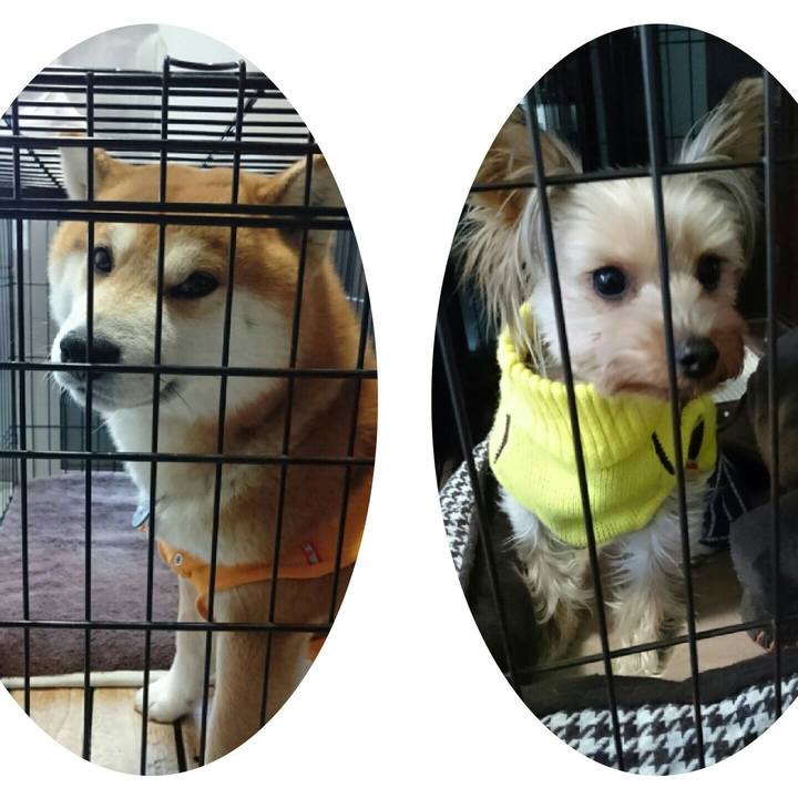 2bff4b52 1d03 404b 89d7 716620b02b58