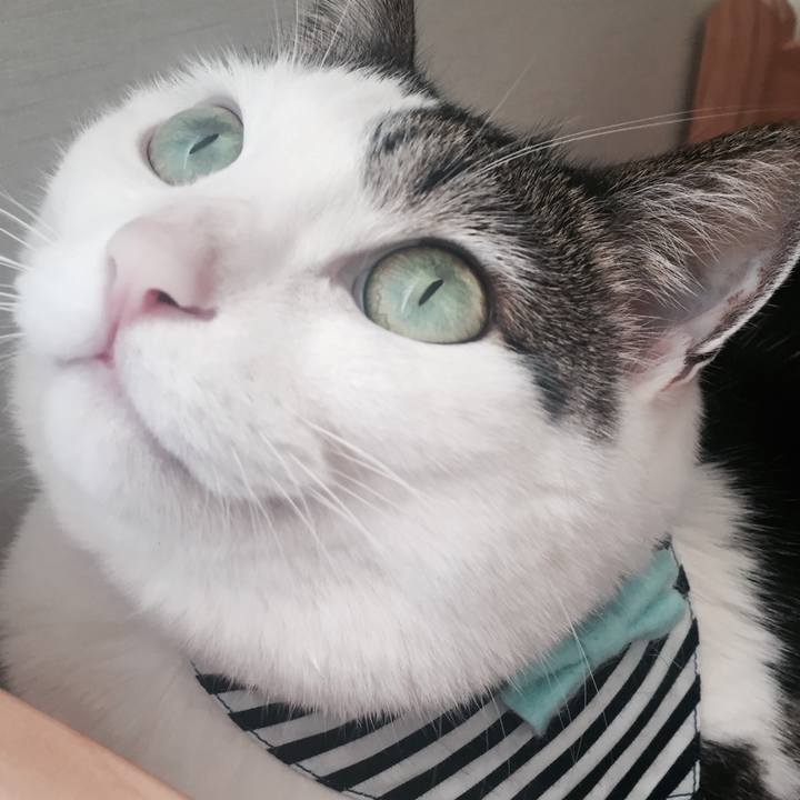 2c0031d3 a587 4a34 a2ef 8c3f1cbd3902