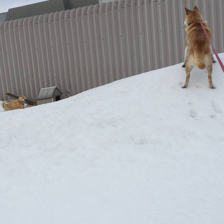 2c0094d0 f742 4e81 9cc6 60b021356631