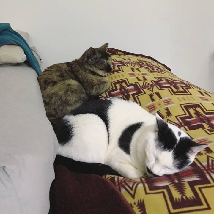 2c01a67e cf08 4a10 a382 f4148c06f4ff