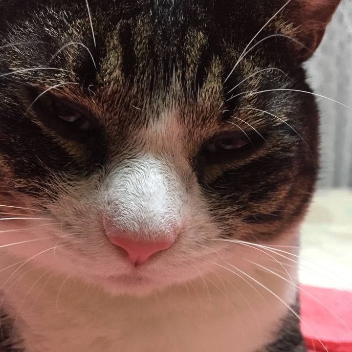 2c01d9d6 57b3 45d1 8a4d f2c089e88d29