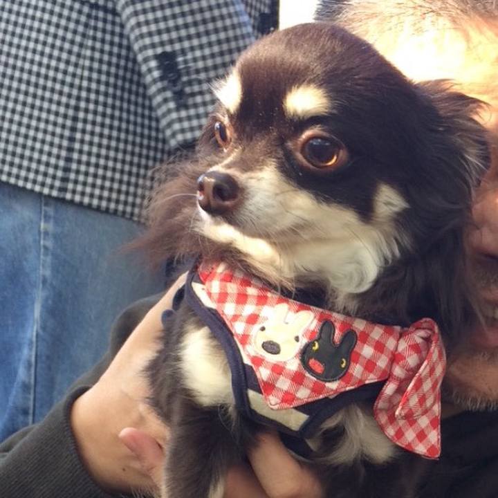 2c02639b 7029 4005 8610 ceea9a9535fb