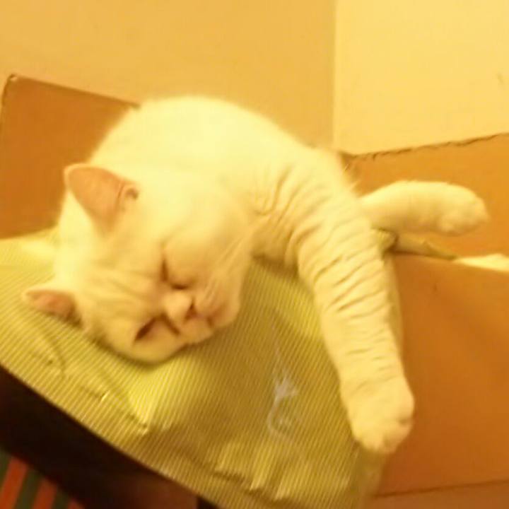 2c02ba51 25b2 4ee2 8ce7 ac147c61083a