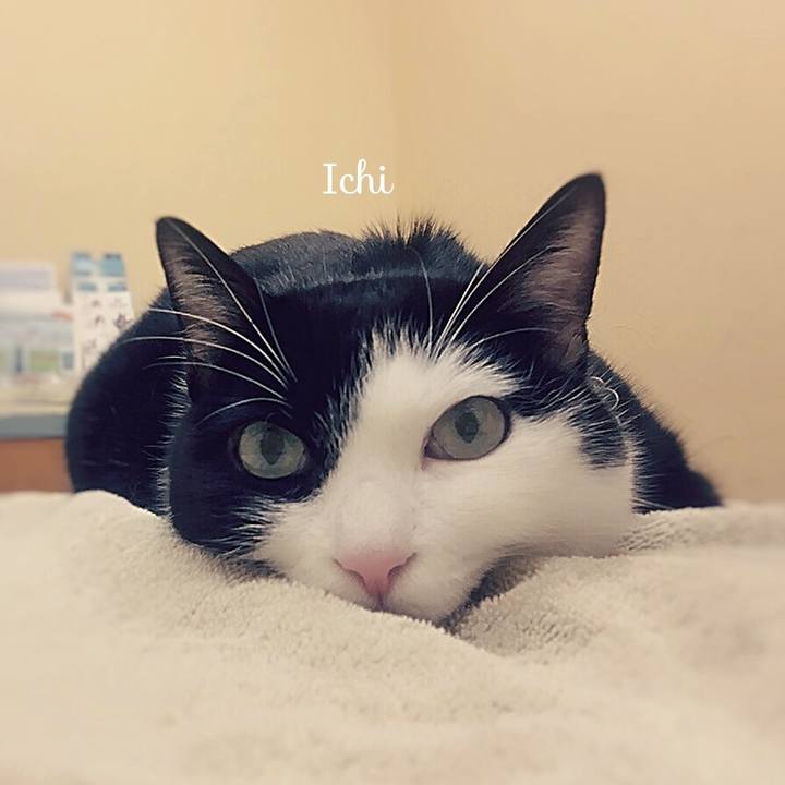 2c042b52 c096 413a 9a28 47be9635c4d9