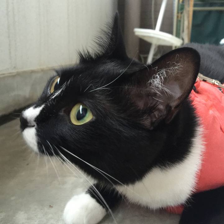 2c05b49b 701c 4195 b971 de34c0c4da18