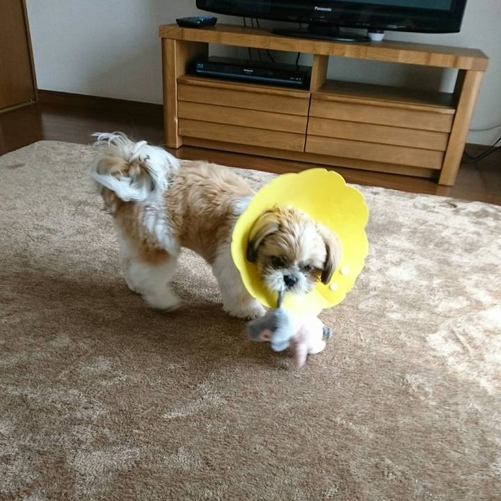 2c062e61 0fc9 4a94 9e83 a934343823a8