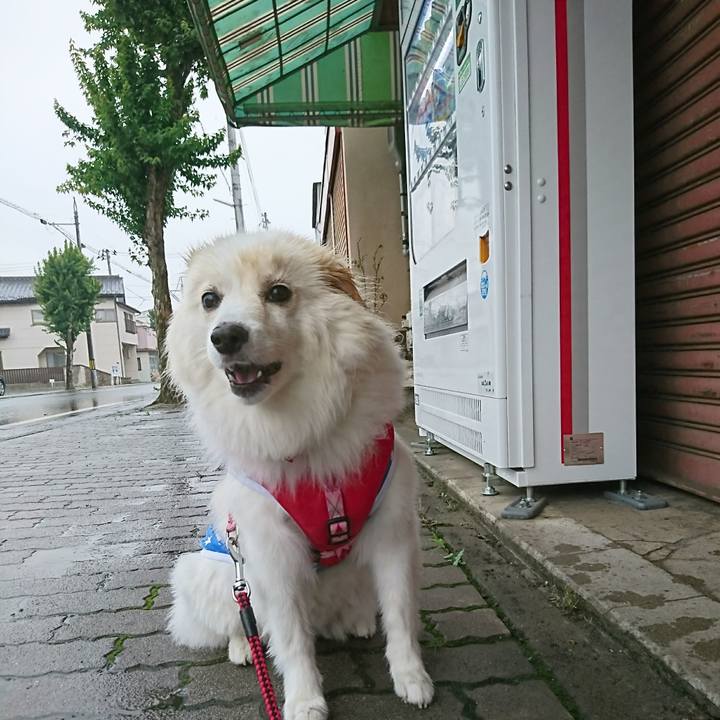 2c0721b3 b53b 428c 85a1 c2e08c6ffb85