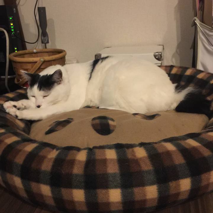 2c07442d 1f7d 4244 b937 f4dd7a97fadf