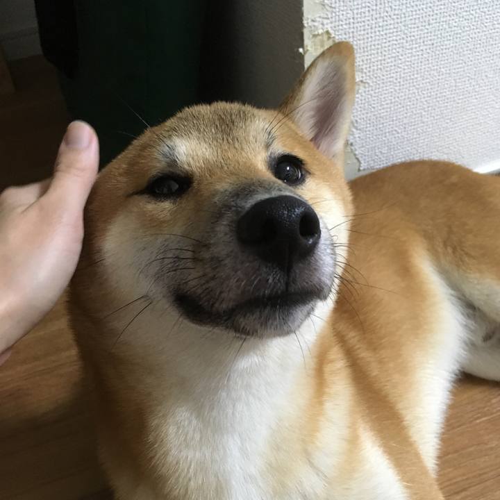 2c078649 db00 4303 8a2d 03b5e3eebcdc