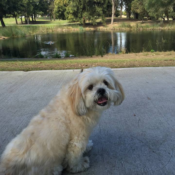 2c07c1d7 9e2c 4f91 ac77 1babe43624ed