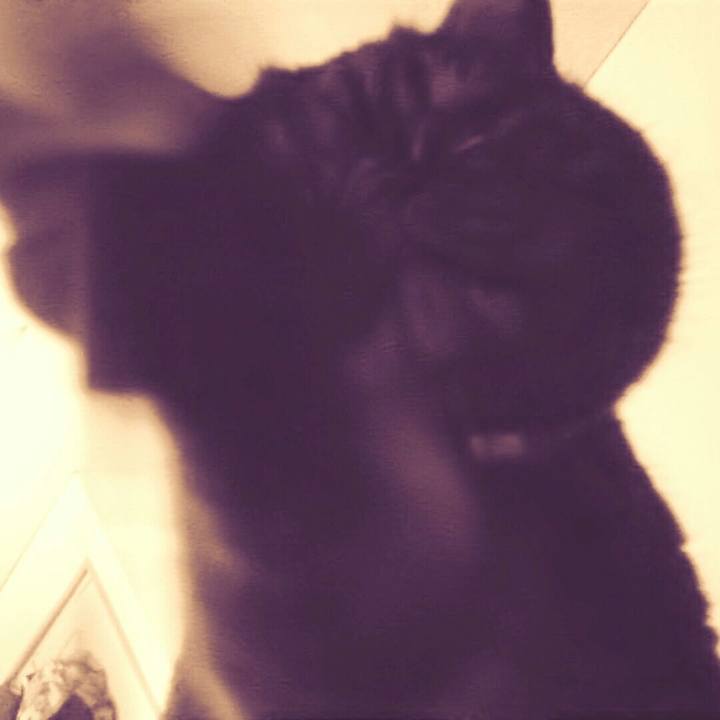 2c07d7c9 f9fd 464e a59a 4cb38563d4d1