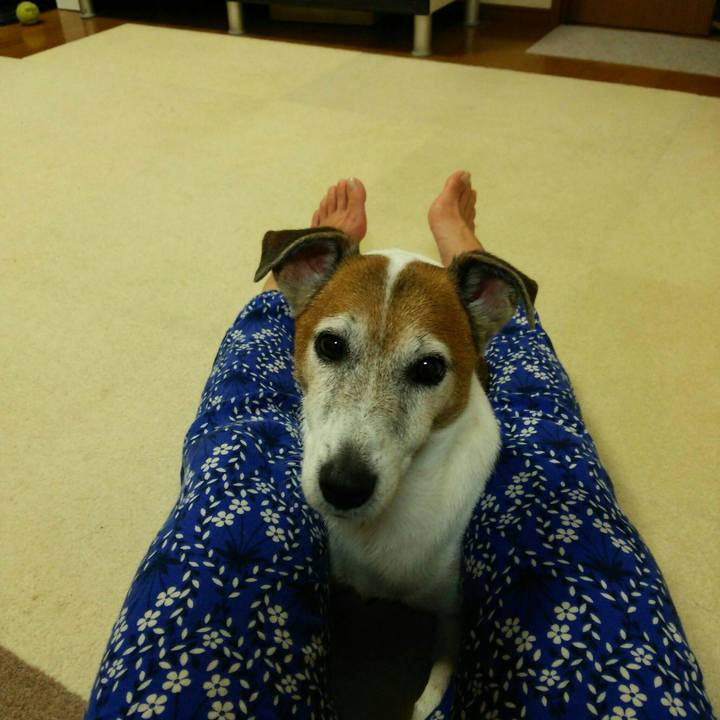 2c088e4a 9228 4eea ab00 77cd8b7d82b8