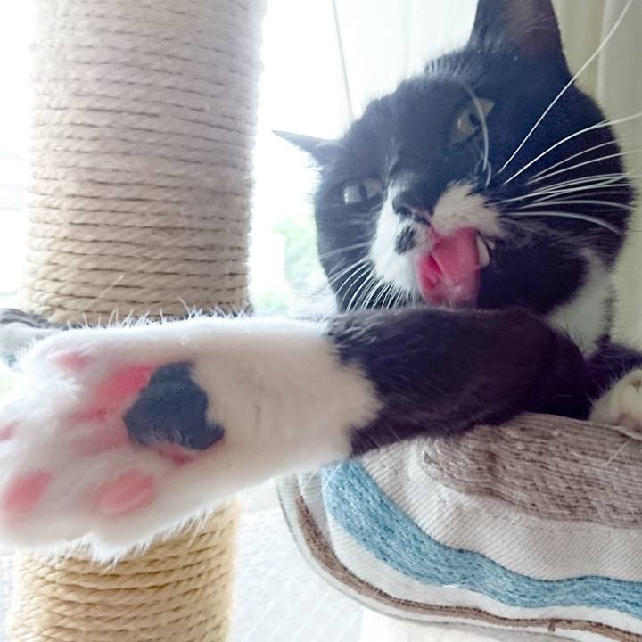 2c089f93 c838 41a1 b263 879d57185df4