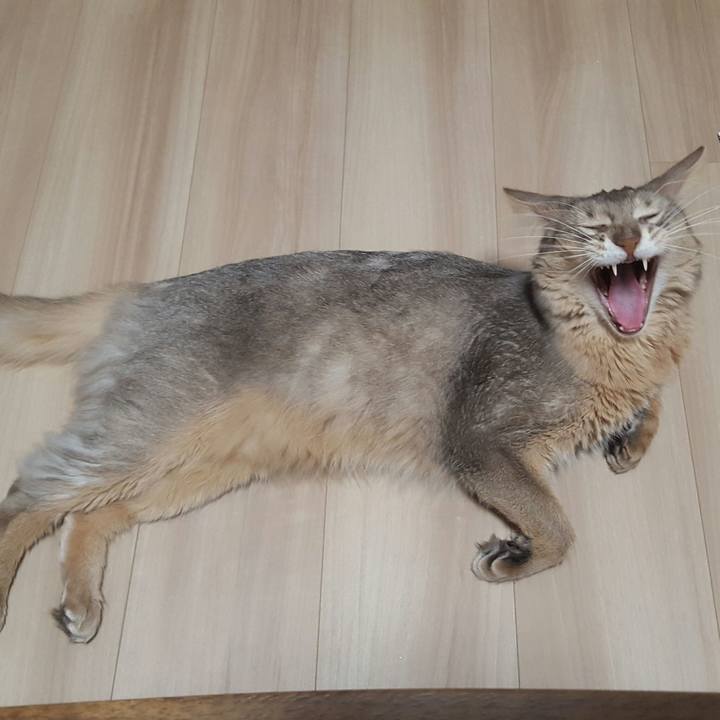 2c08e0e5 b6e0 4ba5 84f3 3db5f3581424