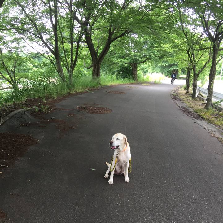 2c08e46e 82e1 4fc8 8f33 c576a13a9860