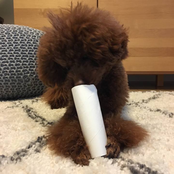 2c09334d 8533 43c2 b5e2 cc9434a1a65f