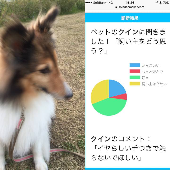 2c09a652 fe1e 42da a120 4594f5715d94