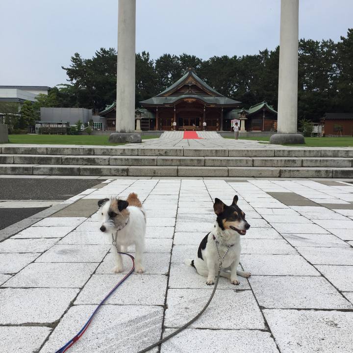 2c09de94 d191 4911 85ef ca4ab7a27383