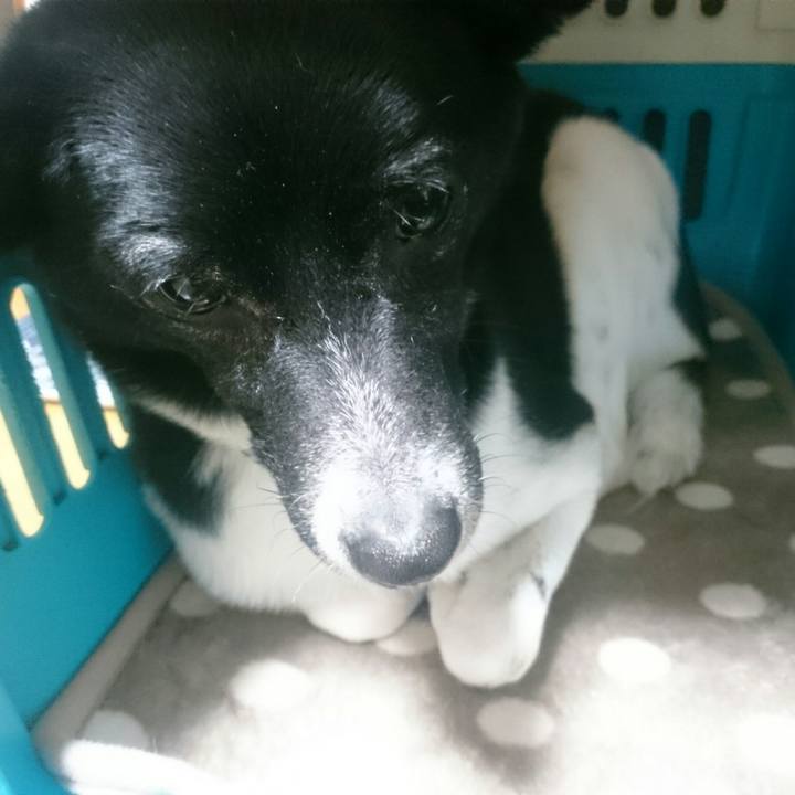 2c0a5716 df81 448d 8423 754485fa11ee