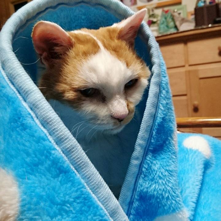 2c0a8755 fd93 4308 9b0c b3e6cba28c8d