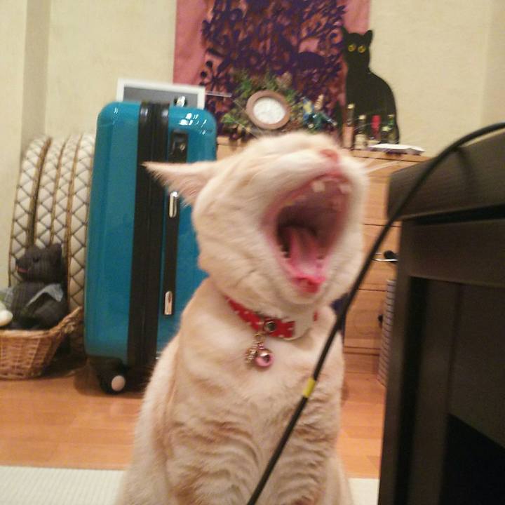 2c0a9af6 9772 4308 ba70 50ab611ed780