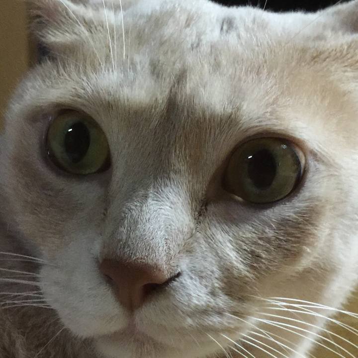 2c0aadd3 827a 4271 a16b b323c6d9b3b7