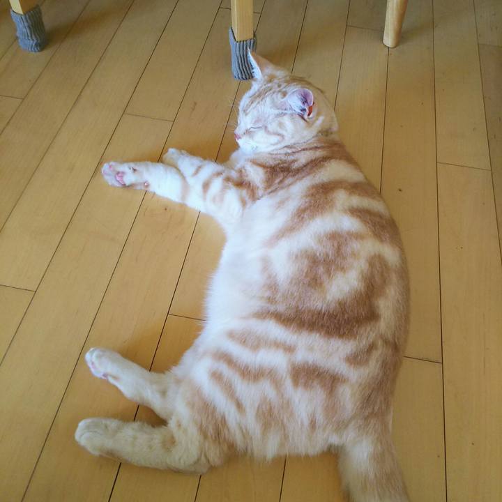 2c0cb6f5 35fe 4559 bc4a 9a1853589457