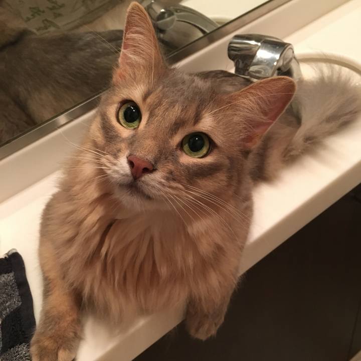 2c0d16b1 66ec 46ea 97ab f8c04939453e