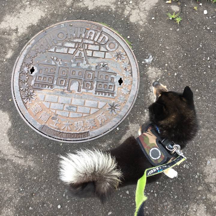 2c0d5bfe 8f7f 4a08 a1ca 52b3cc7af018